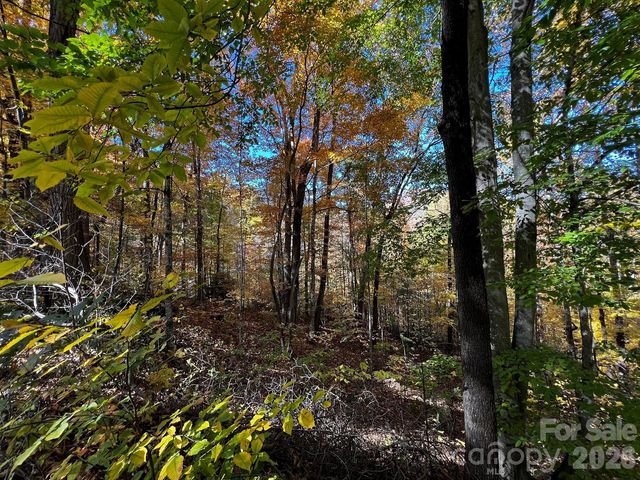 0000 Hemphill Road 3, Waynesville, NC 28785