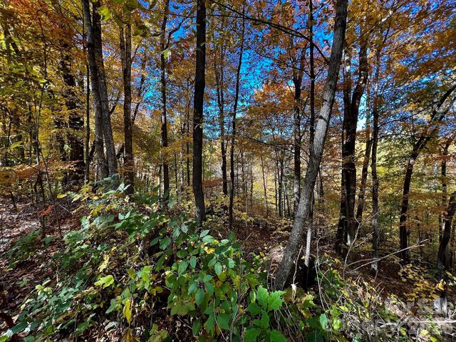 0000 Hemphill Road 3, Waynesville, NC 28785