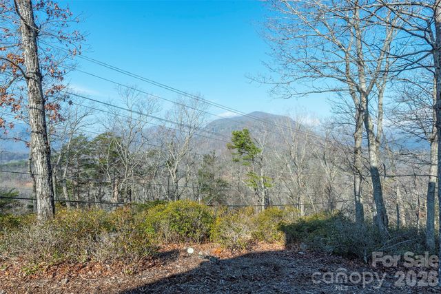 192 Buzzards Place, Lake Lure, NC 28746