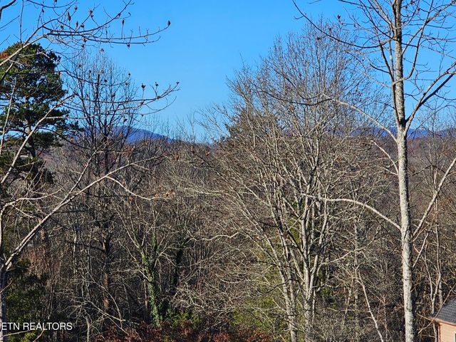 116 Chestnut Hill Rd, Oak Ridge, TN 37830