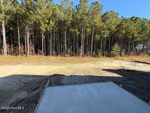 4523 Sweet Williams Lane, Wilson, NC 27896