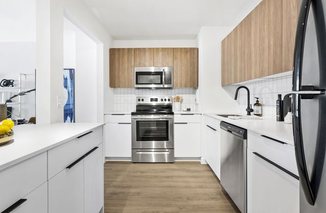 1250 N LaSalle Street 1008, Chicago, IL 60610