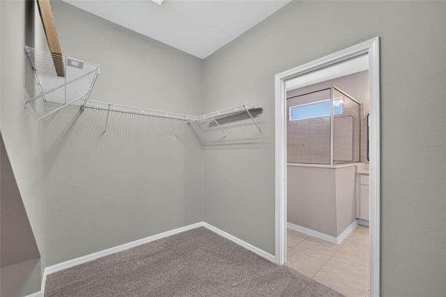 21744 WAVERLY SHORES LANE, Land O Lakes, FL 34637
