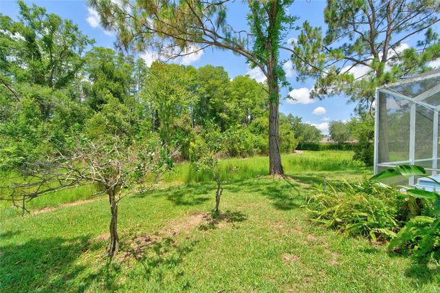 21744 WAVERLY SHORES LANE, Land O Lakes, FL 34637