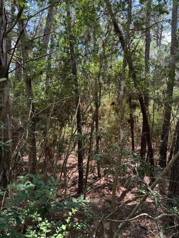 Lot 250 Hekili DR, Bastrop, TX 78602
