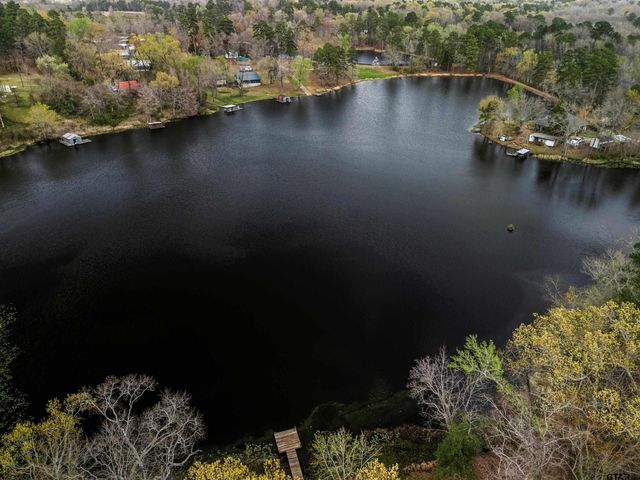 5066 Bob O Link Rd, Gilmer, TX 75645