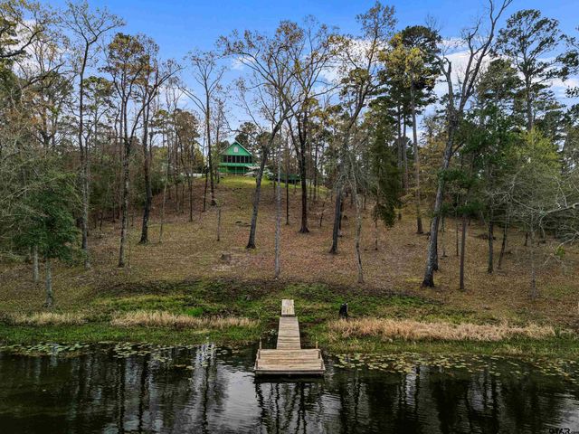 5066 Bob O Link Rd, Gilmer, TX 75645