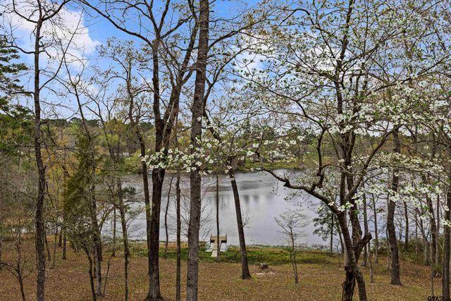 5066 Bob O Link Rd, Gilmer, TX 75645