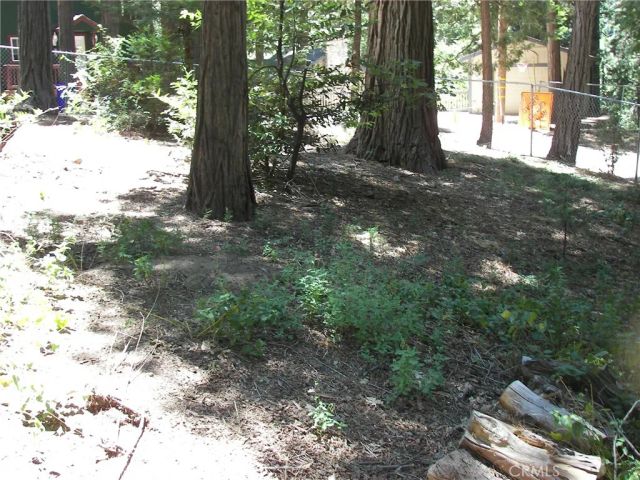 1101 Big Tree, Crestline, CA 92325