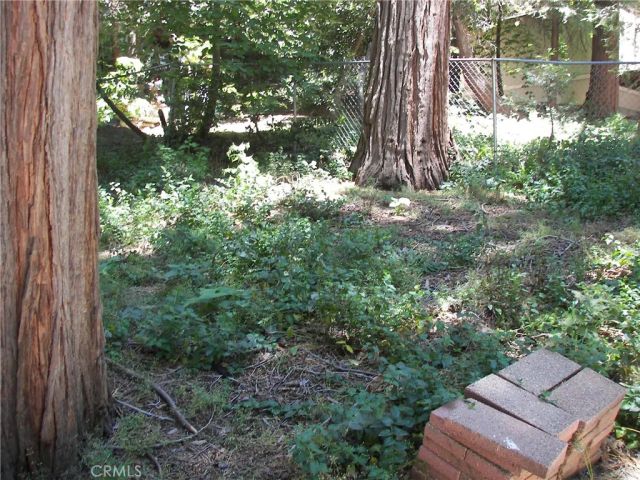 1101 Big Tree, Crestline, CA 92325