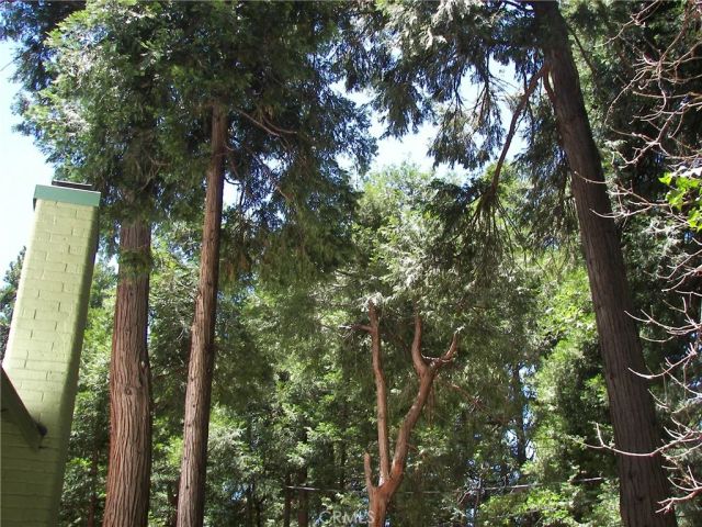 1101 Big Tree, Crestline, CA 92325