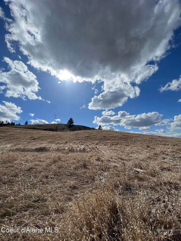 NKA Raven Dr., Culdesac, ID 83524 photo 10