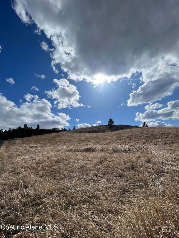 NKA Raven Dr., Culdesac, ID 83524 photo 11