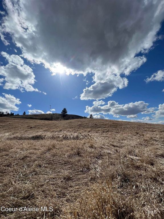 NKA Raven Dr., Culdesac, ID 83524 photo 12