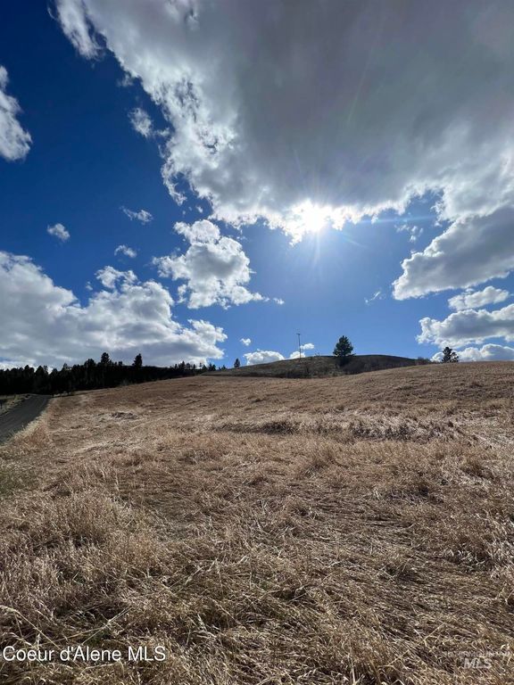 NKA Raven Dr., Culdesac, ID 83524 photo 13