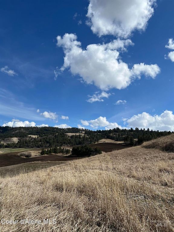 NKA Raven Dr., Culdesac, ID 83524 photo 14