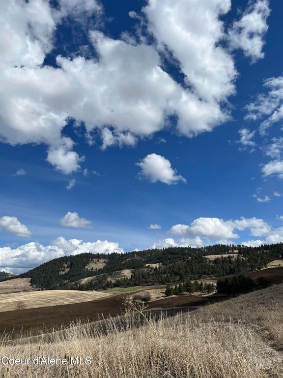 NKA Raven Dr., Culdesac, ID 83524 photo 15