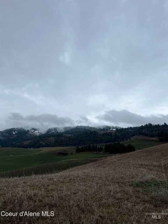 NKA Raven Dr., Culdesac, ID 83524 photo 17