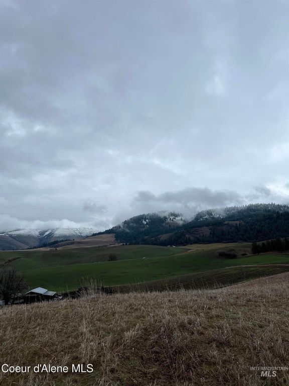 NKA Raven Dr., Culdesac, ID 83524 photo 18