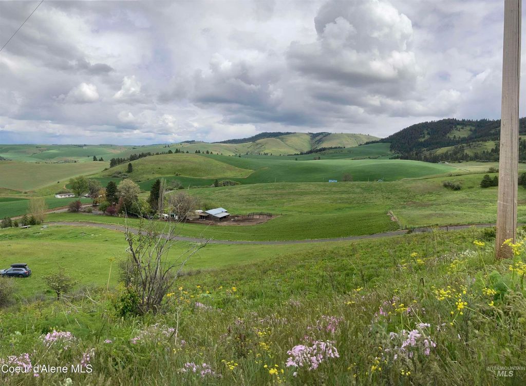 NKA Raven Dr., Culdesac, ID 83524 photo 2