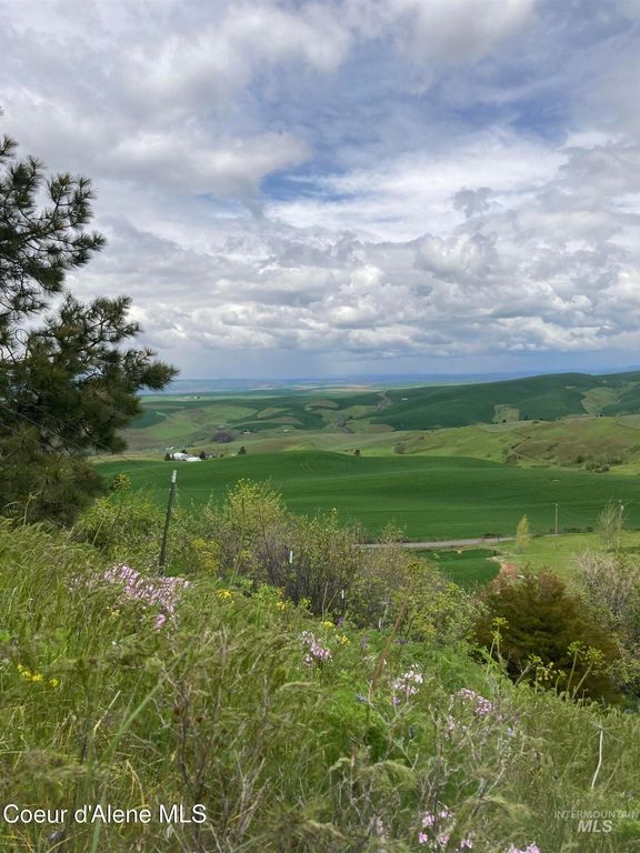 NKA Raven Dr., Culdesac, ID 83524 photo 3