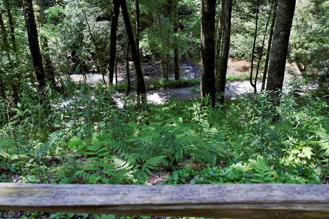 795 Kells Ridge, Ellijay, GA 30540