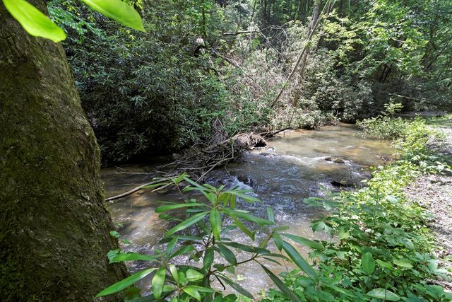 795 Kells Ridge, Ellijay, GA 30540