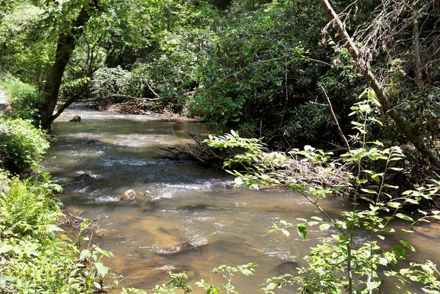 795 Kells Ridge, Ellijay, GA 30540