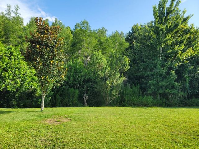 21613 SOUTHERN CHARM DRIVE DR, Land O Lakes, FL 34637