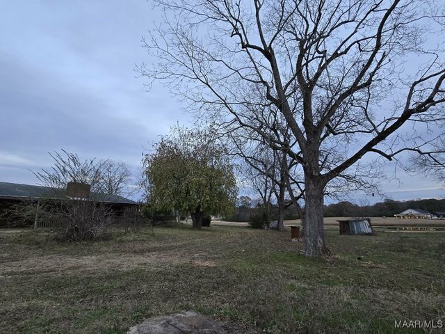 2830 CHANA CREEK Road, Eclectic, AL 36024