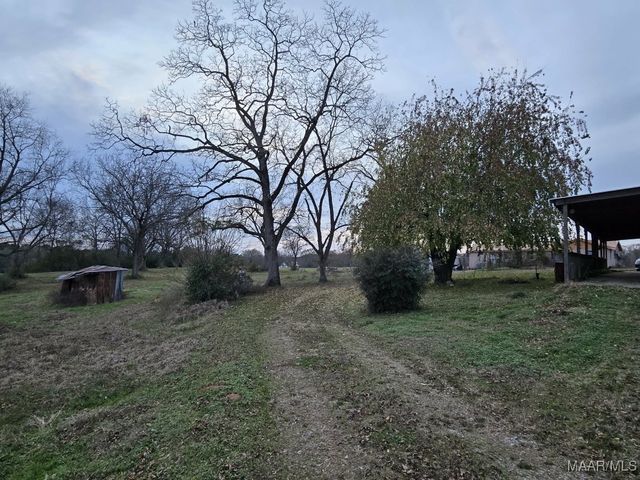 2830 CHANA CREEK Road, Eclectic, AL 36024