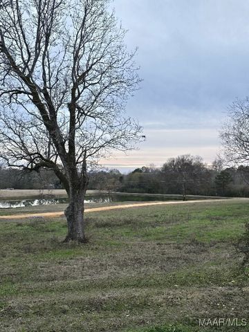 2830 CHANA CREEK Road, Eclectic, AL 36024