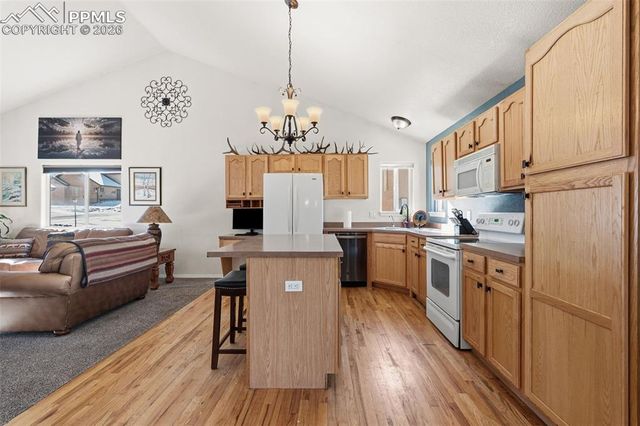 1755 Columbine Village Drive, Woodland Park, CO 80863