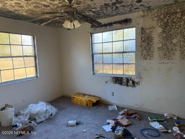 8002 LENOX Avenue, Jacksonville, FL 32221