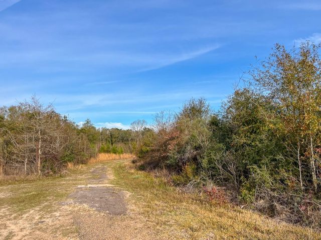 T-9 & 10 Fm 787, Saratoga, TX 77585