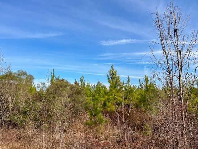 T-9 & 10 Fm 787, Saratoga, TX 77585