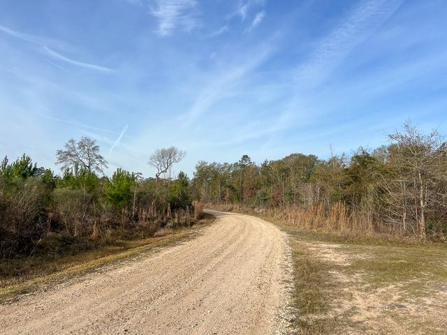 T-9 & 10 Fm 787, Saratoga, TX 77585