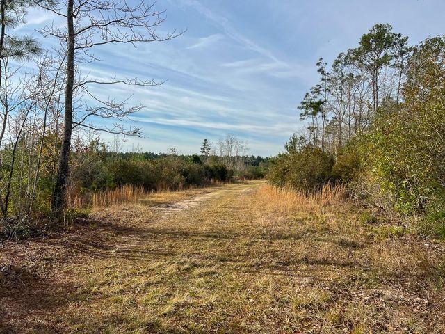 T-9 & 10 Fm 787, Saratoga, TX 77585