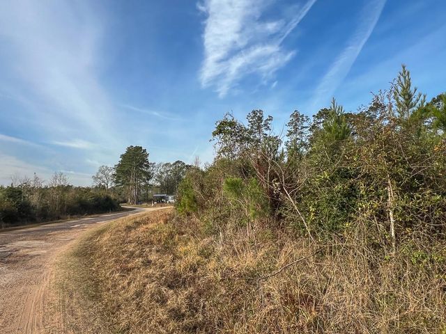 T-9 & 10 Fm 787, Saratoga, TX 77585