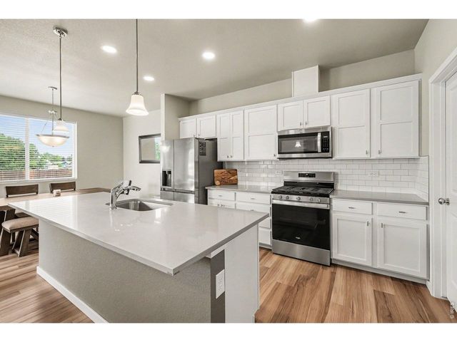 3774 Beech Tree St, Wellington, CO 80549