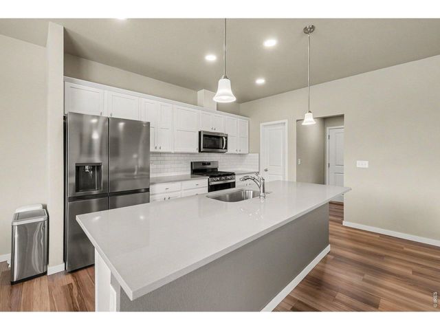3774 Beech Tree St, Wellington, CO 80549