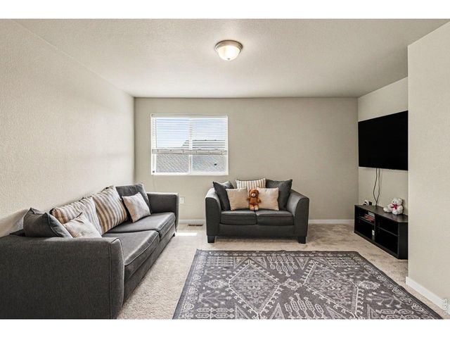 3774 Beech Tree St, Wellington, CO 80549