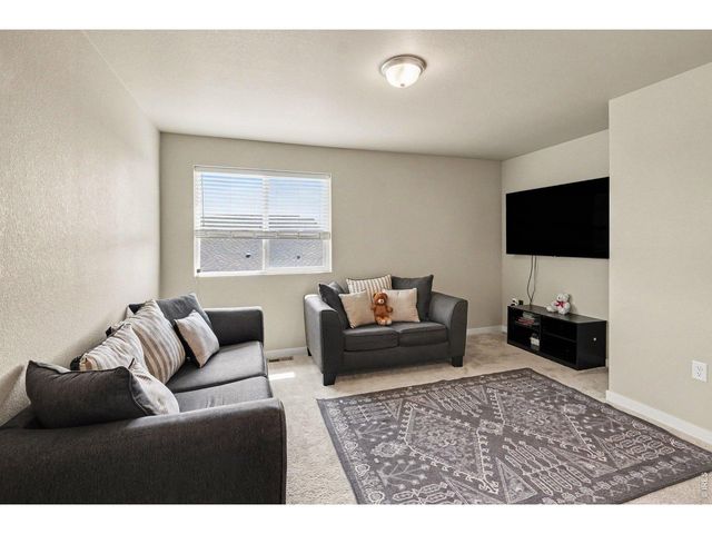 3774 Beech Tree St, Wellington, CO 80549