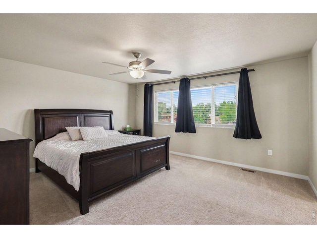 3774 Beech Tree St, Wellington, CO 80549
