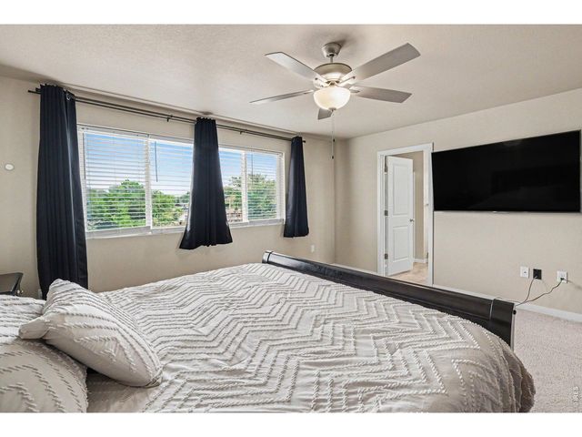 3774 Beech Tree St, Wellington, CO 80549