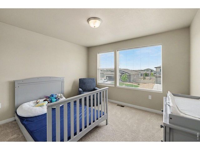 3774 Beech Tree St, Wellington, CO 80549