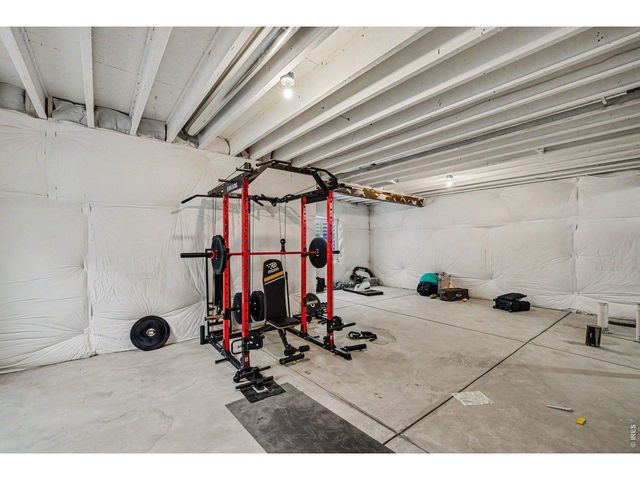 3774 Beech Tree St, Wellington, CO 80549