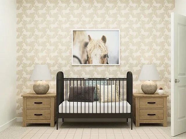 1705 Western Hemlock Way, Mckinney, TX 75071