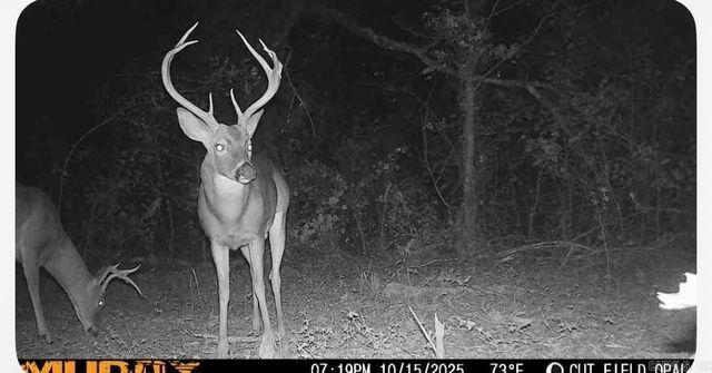 967 Hwy 64 W, Beebe, AR 72012