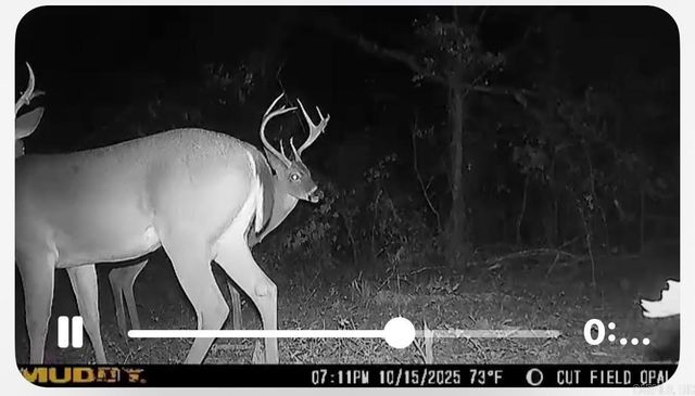 967 Hwy 64 W, Beebe, AR 72012